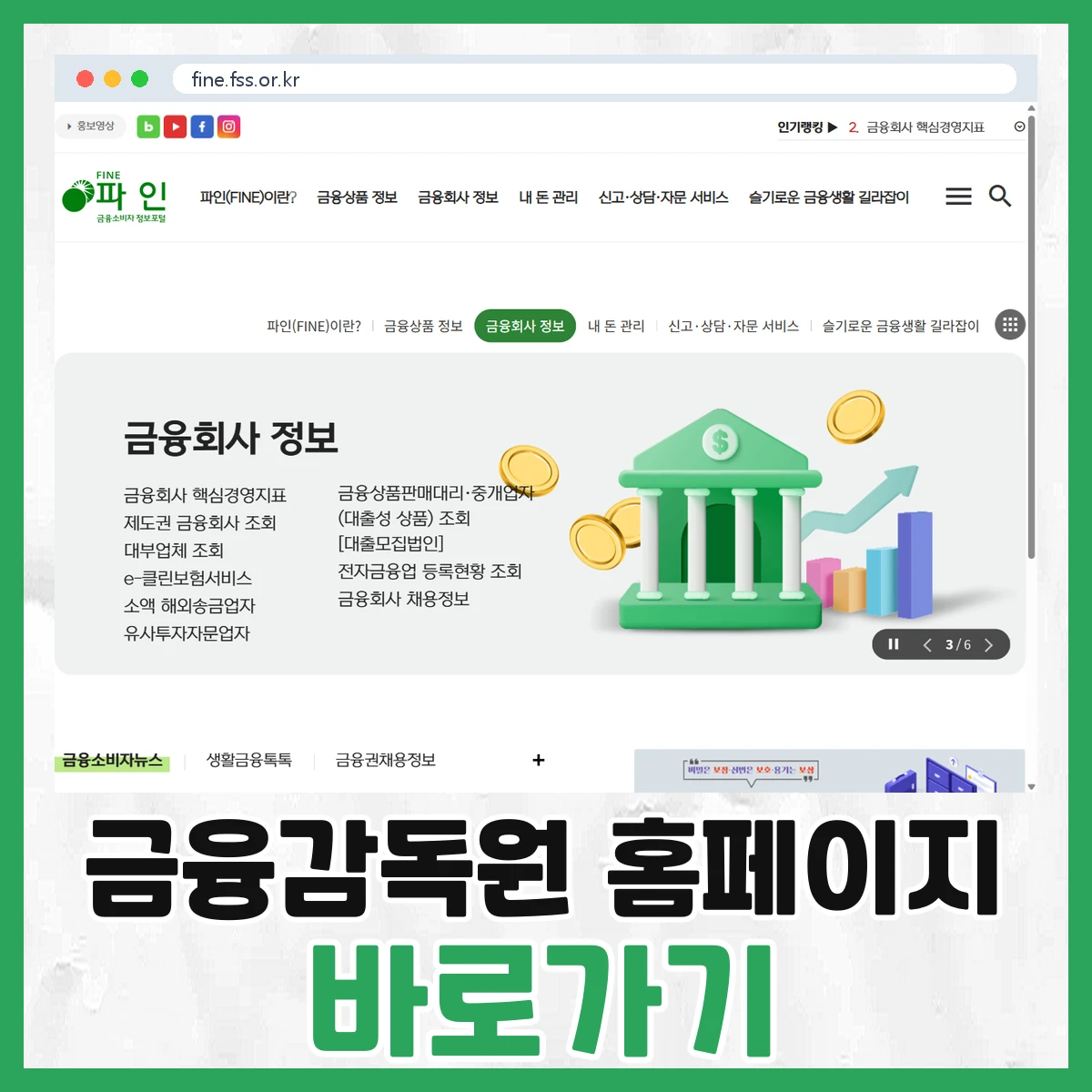 금융감독원