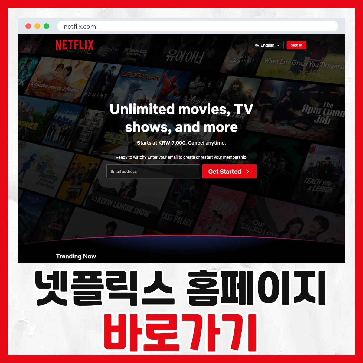 넷플릭스
