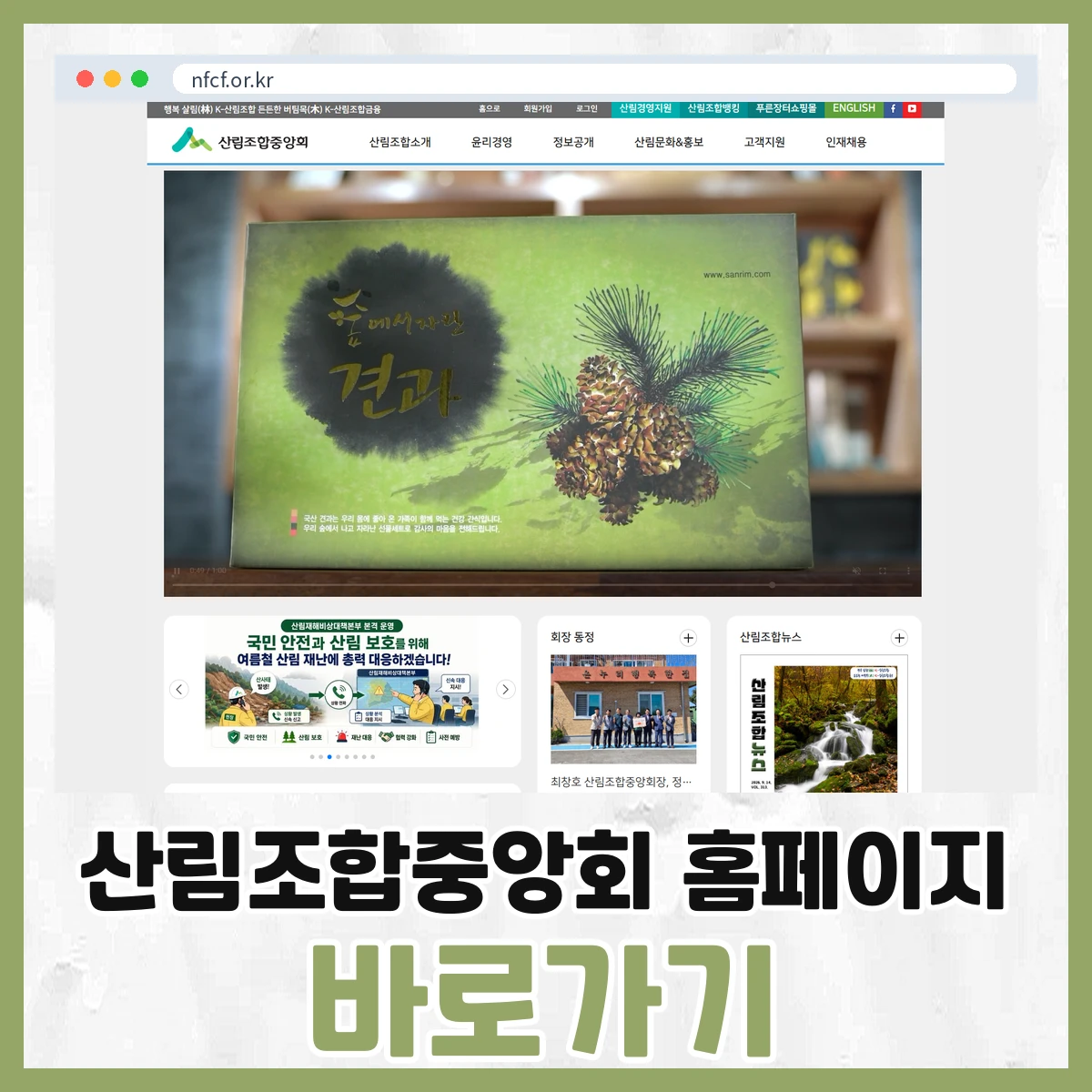 산림조합중앙회
