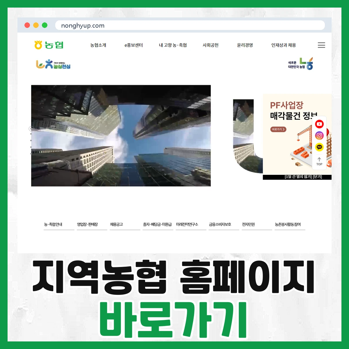 지역농협