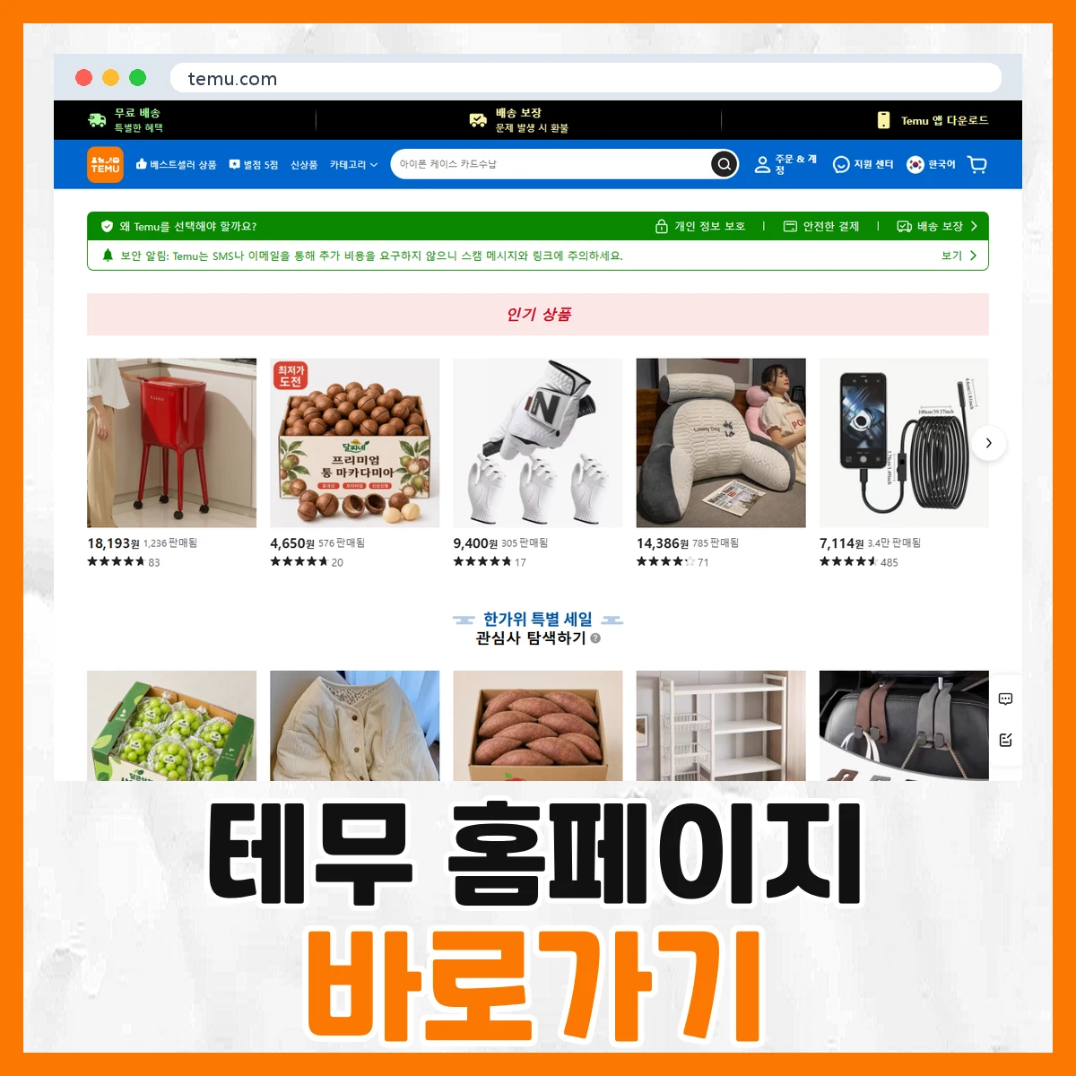 테무