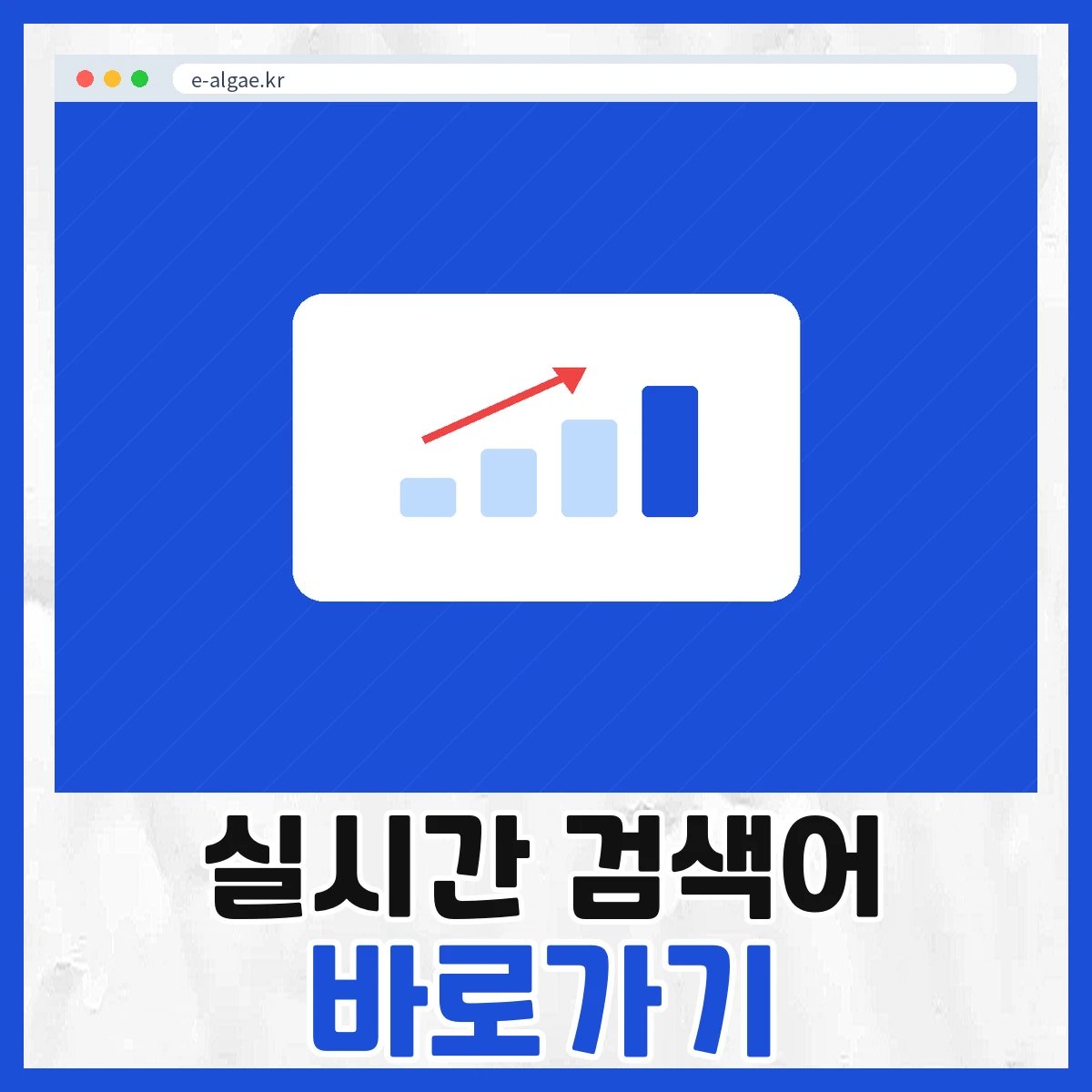 실시간 검색어